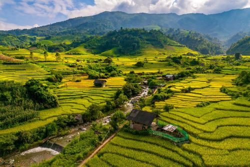"Khi đến đây, tôi cảm giác vùng thung lũng này đầy sinh khí, sung túc và ấm no. Những người Dao Đỏ ấm áp trong trang phục truyền thống, không gian yên bình hòa cùng hương thơm dịu nhẹ của lúa chín mang đến cảm giác gần gũi và thư thái. Chuyến đi Nậm Cang không quá nổi bật, nhưng đủ sâu sắc để lưu lại trong ký ức. Theo tôi, khung cảnh nơi đây đẹp không kém Y Tý hay Mù Cang Chải. Mong rằng vùng đất yên bình, tươi đẹp và trù phú này sẽ đón thêm du khách", nữ nhiếp ảnh gia bày tỏ.