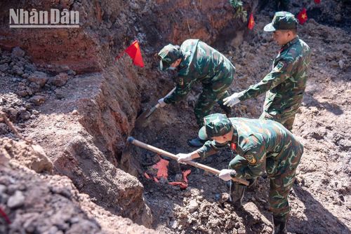 Tại những vị trí nghi vấn, các chiến sĩ không thể dùng máy xúc mà phải đào thủ công để bảo đảm sự nguyên vẹn cho hài cốt. Từng nhát cuốc, xẻng đều phải được thực hiện với sự tập trung cao độ.