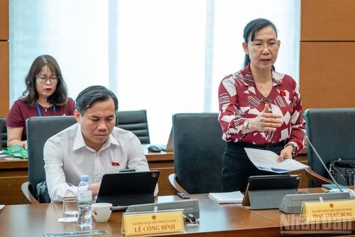 Đại biểu Phan Thị Mỹ Dung (Đoàn Tây Ninh) phát biểu tại tổ. (Ảnh: THỦY NGUYÊN)