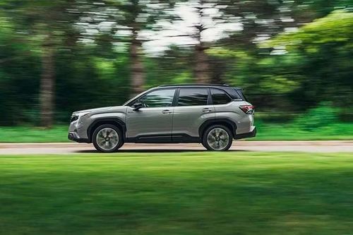 Mẫu SUV cỡ C này có giá dự kiến lên đến 1,5 tỷ đồng. Nếu giá bán này là chính thức, Subaru Forester Hybrid sẽ đắt hơn nhiều so với đối thủ trực tiếp là Honda CR-V e:HEV. Mẫu xe nhà Honda hiện có giá từ 1,17-1,25 tỷ đồng. Tuy nhiên, hiện Subaru Việt Nam vẫn chưa xác nhận thông tin phân phối mẫu xe này.