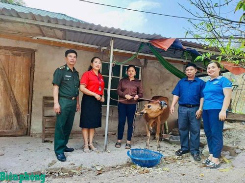 Cán bộ Đồn Biên phòng Mỹ Lý, Bộ đội Biên phòng tỉnh Nghệ An và đại diện các đơn vị trao bò cho hội viên phụ nữ trong Chương trình “Đồng hành cùng phụ nữ biên cương”. Ảnh: Phan Tâm