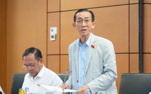  Đại biểu Trần Hoàng Ngân (TPHCM). 