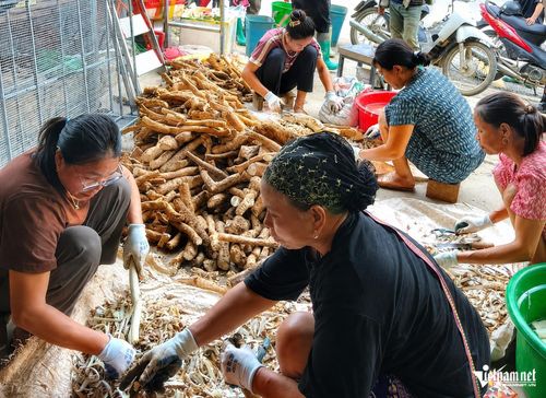 Cơ sở của bà Hoa ngày nào cũng có 3 - 5 người làm kiếm thêm thu nhập. Ảnh: Lê Dương