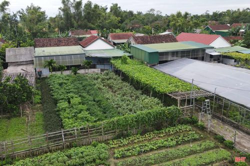 Phải gánh chịu nhiều trận lũ lụt nhưng đổi lại, vùng đất Đức Xá được bồi đắp lượng phù sa lớn nên quanh năm nơi đây luôn cây cối xanh tươi.