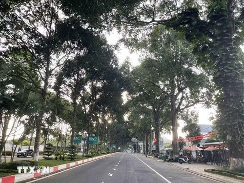 Tuyến đường Đam San dẫn vào sân bay Buôn Ma Thuột. (Ảnh: Kha Phạm/TTXVN)
