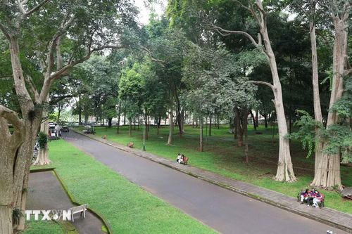 Không gian xanh mát giữa lòng đô thị Buôn Ma Thuột. (Ảnh: Kha Phạm/TTXVN)