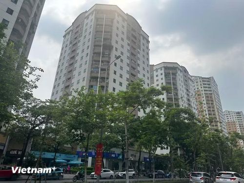 (Ảnh minh họa: Vietnam+)