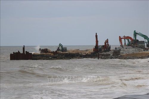 Hàng chục phương tiện được huy động làm việc hết công suất để đẩy nhanh tiến độ dự án.
