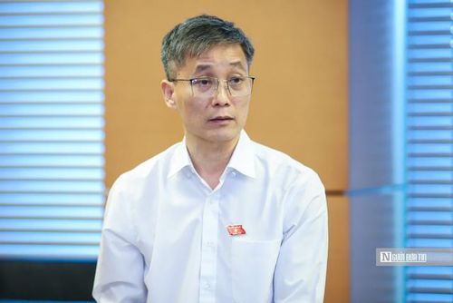 ĐBQH Nguyễn Khánh Ngọc (Ảnh: Hữu Thắng).