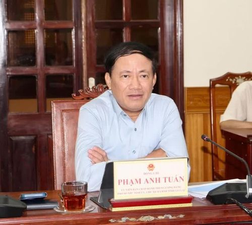 Chủ tịch UBND tỉnh Gia Lai Phạm Anh Tuấn phát biểu tại buổi làm việc.