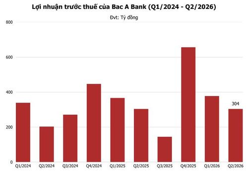 Ảnh: T.D tổng hợp từ BCTC