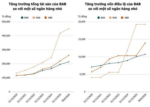  Ảnh: T.D tổng hợp từ BCTC 