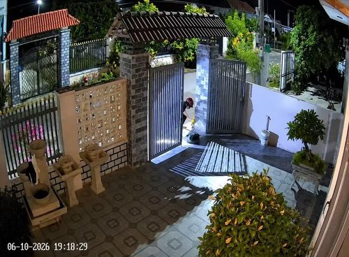 Một vụ trộm chó xảy ra tại xã Tây Sơn ngày 10-6 được camera ghi lại. Ảnh: Người dân cung cấp