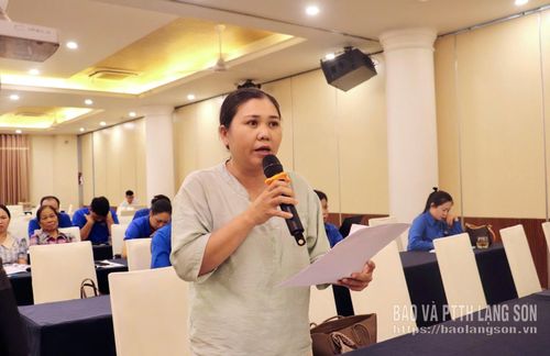 Đại diện hợp tác xã phát biểu ý kiến tại hội nghị