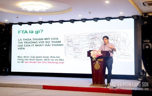 Báo cáo viên truyền tải một số nội dung liên quan tại hội nghị