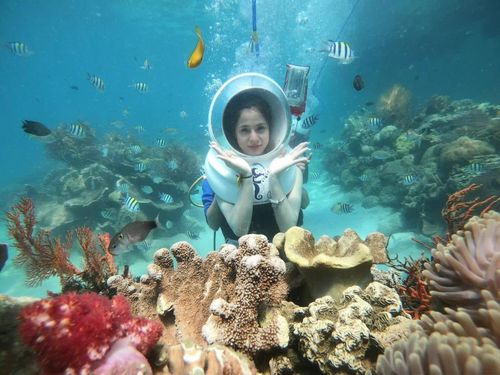 Lặn ngắm san hô là trải nghiệm nổi bật ở Nha Trang