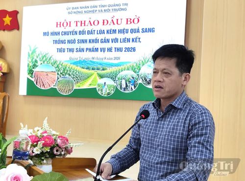 Đồng chí Lê Văn Bảo, Phó Chủ tịch UBND tỉnh phát biểu chỉ đạo tại hội thảo - Ảnh: Đ.H