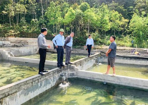 Lãnh đạo xã Tùng Vài thăm mô hình nuôi cá tầm của hộ anh Hà Phúc Tri, thôn Bản Thăng.