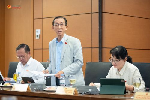ĐBQH Trần Hoàng Ngân (TP. Hồ Chí Minh) phát biểu thảo luận tại Tổ 2