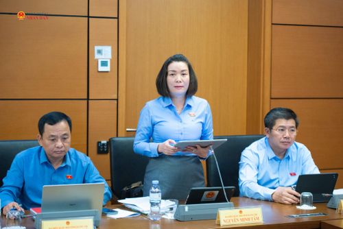 ĐBQH Nguyễn Minh Tâm (Quảng Trị) phát biểu thảo luận tại Tổ 13