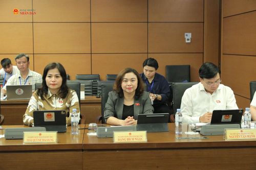 Các đại biểu tham gia phiên thảo luận tại Tổ 15. Ảnh: Hồ Long