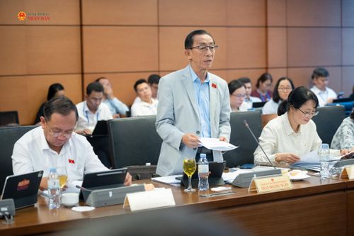 ĐBQH Trần Hoàng Ngân (TP. Hồ Chí Minh) cho rằng, thành lập thành phố Bắc Ninh, thành phố Quảng Ninh là tất yếu. Ảnh: Phạm Thắng