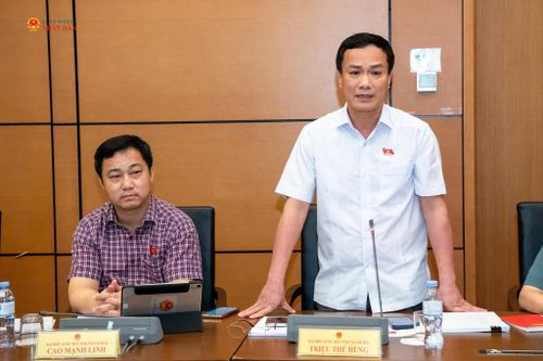 ĐBQH Triệu Thế Hùng (Thanh Hóa) phát biểu thảo luận. Ảnh: Lâm Hiển