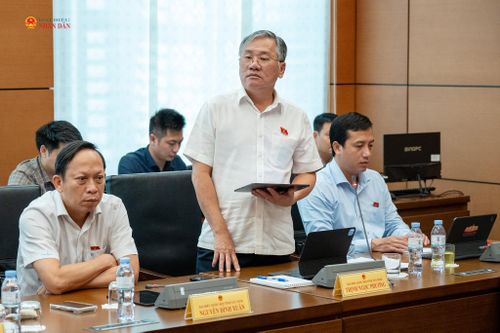 ĐBQH Trịnh Ngọc Phương (Tây Ninh) phát biểu thảo luận Tổ 3. Ảnh: Lâm Hiển