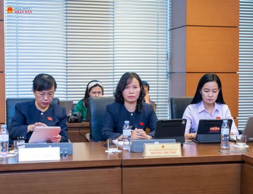Các ĐBQH tỉnh Đồng Tháp tại phiên họp Tổ 14 chiều 6/8. Ảnh: Mạnh