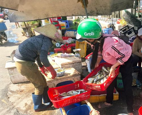 Cá nóc vẫn được bày bán tại một số chợ hải sản ven biển. Các chuyên gia khuyến cáo người tiêu dùng tuyệt đối không mua, chế biến hoặc sử dụng làm thực phẩm.
