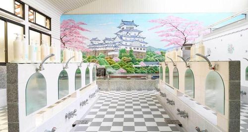 Không gian nhà tắm công cộng tại Nhật Bản rất rộng rãi, tiện nghi. (Ảnh: DigJapan)