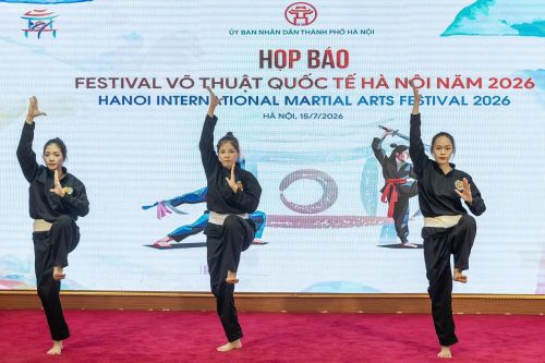 Festival là ngày hội hội tụ tinh hoa võ thuật trong nước và quốc tế. Ảnh: Hà Ngân