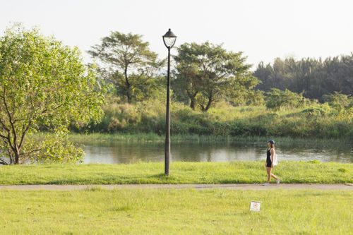  Khi muốn lên mạng, hãy thử trì hoãn 5 phút để vận động hoặc thư giãn, sau đó tiếp tục kéo dài thêm 5 phút nữa trước khi mở thiết bị. Ảnh: Phương Lâm. 