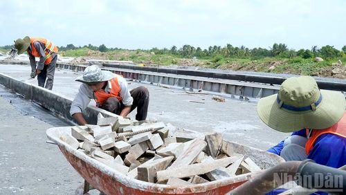 Đội ngũ công nhân tập trung lắp đặt cốt thép và ván khuôn, bảo đảm yêu cầu kỹ thuật khắt khe của dự án. (Ảnh: HỮU TÙNG)