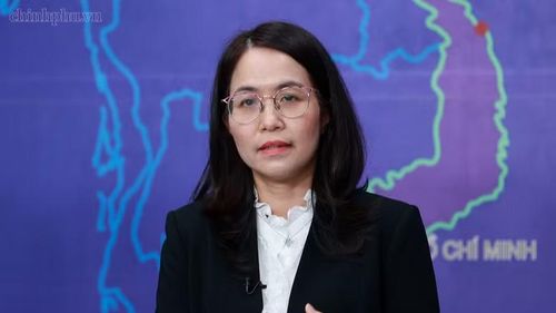 Bà Bùi Thu Thủy, Phó Cục trưởng Cục Đầu tư nước ngoài, Bộ Tài chính.