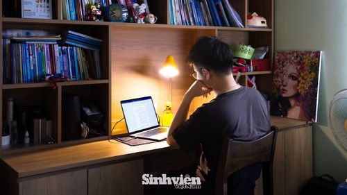 Sinh viên học online tại nhà. (Ảnh minh họa)