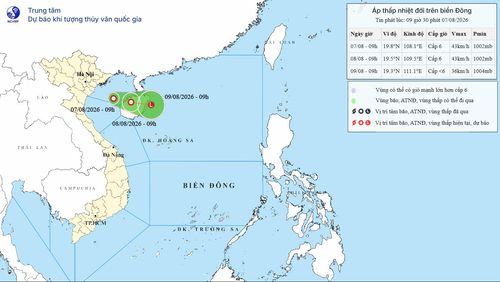 Đường đi của áp thấp nhiệt đới trên khu vực Vịnh Bắc Bộ lúc 9h30 ngày 7/8/2026. Nguồn: NCHMF