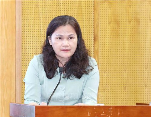 Phó Tổng Giám đốc Thông tấn xã Việt Nam Nguyễn Thị Sự trình bày tham luận tại hội nghị. Ảnh: Phương Hoa/TTXVN