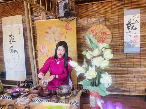 Nghệ nhân trình diễn pha trà sen Quảng An, giới thiệu nét tinh hoa của nghề ướp trà sen truyền thống tại không gian Hồ Văn - Văn Miếu Quốc Tử Giám (Hà Nội).
