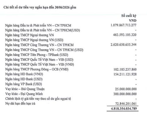 Nguồn: Thuyết minh BCTC của Pomina.