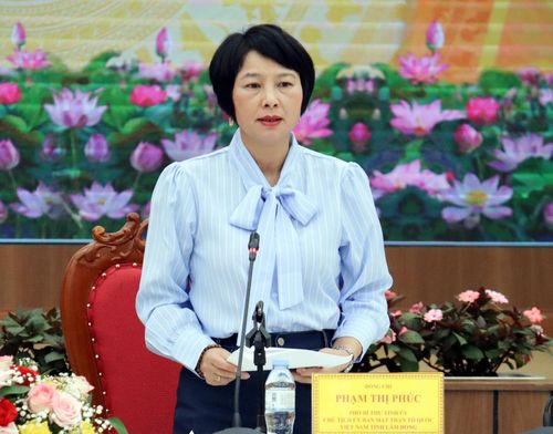 Phó Bí thư Tỉnh ủy, Chủ tịch UBMTTQ Việt Nam tỉnh Phạm Thị Phúc phát biểu chỉ đạo