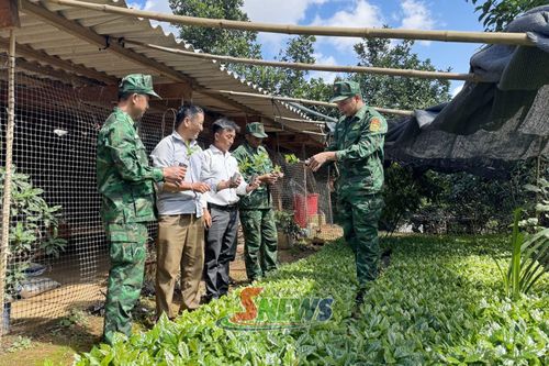 Cán bộ Đồn Biên phòng Mường Cai hướng dẫn người dân bản Huổi Khe chọn giống cà phê.