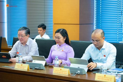 ĐBQH tỉnh An Giang tham dự phiên thảo luận tại Tổ 13