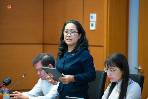 ĐBQH Phạm Huỳnh Thanh Vân (An Giang) phát biểu thảo luận tại Tổ 13