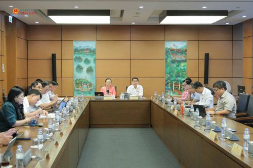 Toàn cảnh phiên thảo luận Tổ 4
