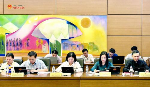 ĐBQH tỉnh Lâm Đồng tham dự phiên thảo luận tại tổ