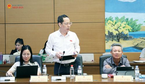 ĐBQH Trần Nhật Minh (Nghệ An) phát biểu