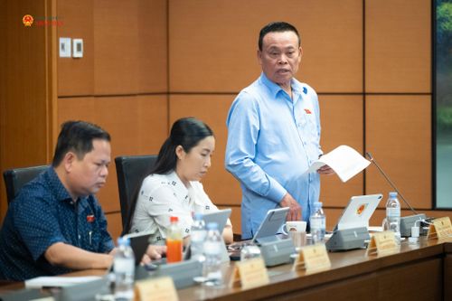 ĐBQH Nguyễn Như So (Bắc Ninh) phát biểu thảo luận tại Tổ 8
