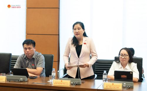 ĐBQH Đinh Thị Phương Lan (Quảng Ngãi) phát biểu