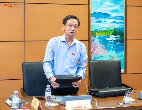 ĐBQH Đoàn Hùng Vũ (Đồng Tháp) phát biểu tại Tổ 14. Ảnh: Mạnh Hưng